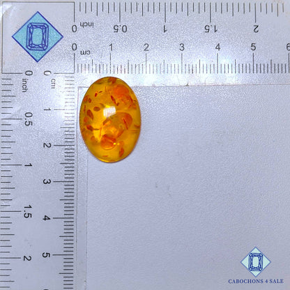 Cabujones ovalados de ámbar sintético de 23 x 17 x 7 mm disponibles para la venta.