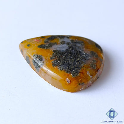 Marcasite