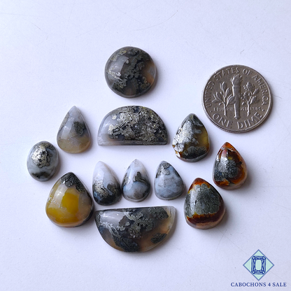 Marcasite