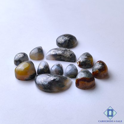 Marcasite