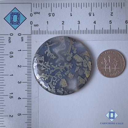 Natural Marcasite Gemstone  Round Cabochons 37*5mm from USA available for sale