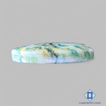 Pares ovalados de mariposita