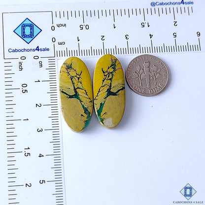 Mariposite