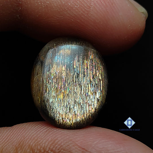 Meteo shower rainbow lattice sunstone-c4sw1520-oval-Golden-cabochons