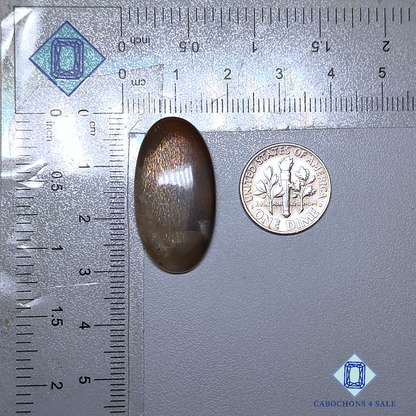 Cabujones ovalados de piedra solar con enrejado arcoíris de lluvia de meteoritos