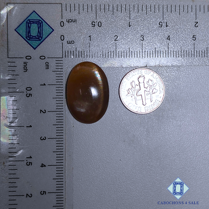 Cabujones ovalados de piedra solar con enrejado arcoíris de lluvia de meteoritos