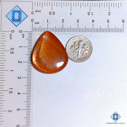 Meteor Shower Rainbow Lattice Sunstone