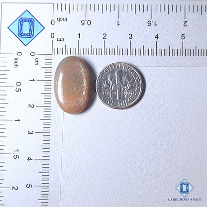 Natural Meteor Shower Rainbow Lattice Sunstone Gemstone Oval Cabochons 22*14*5mm from Australia available for sale