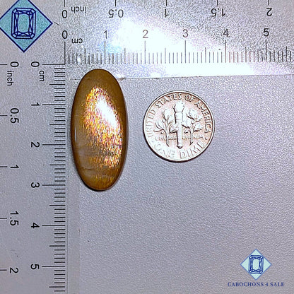 Natural Meteor Shower Rainbow Lattice Sunstone Gemstone Oval Cabochons 30*14*5mm from Australia   available for sale