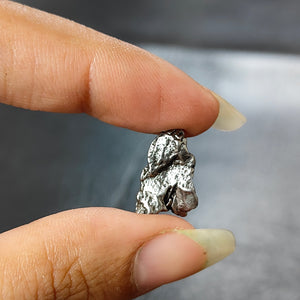 Meteorite Fancy Druzy