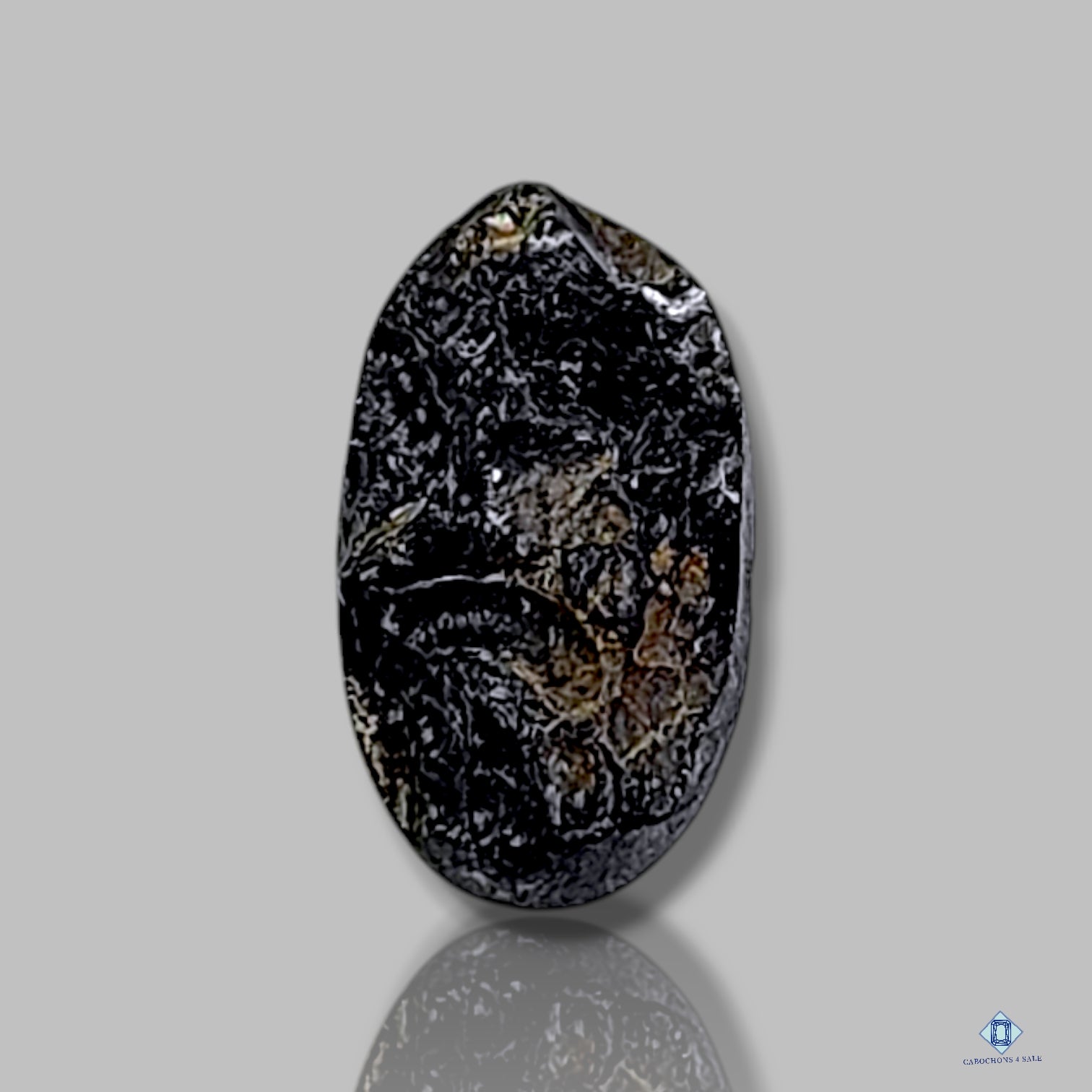 Meteorite Tektite