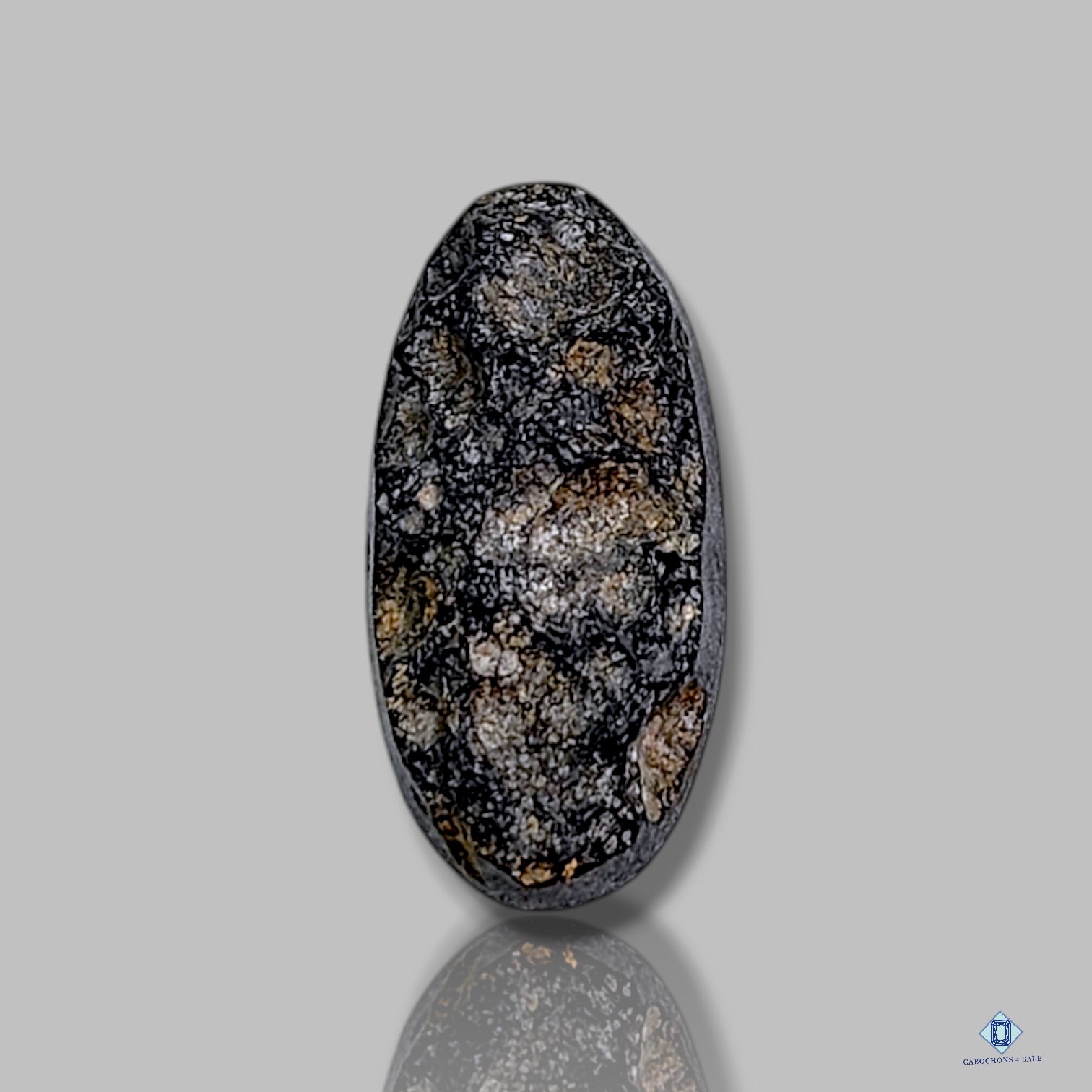 Meteorite Tektite