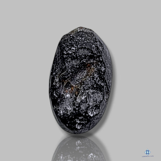 Meteorite Tektite