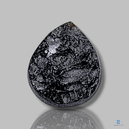 Meteorite Tektite