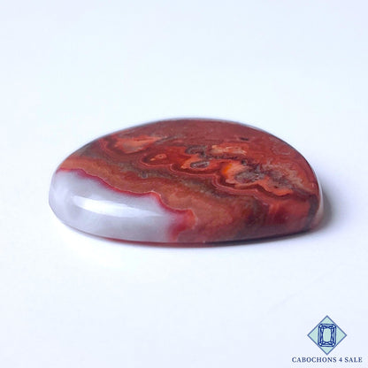 Mexican Crazy Lace Agate