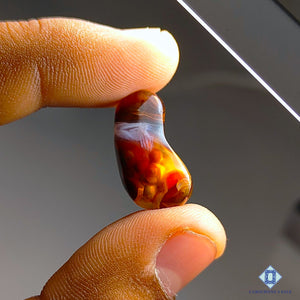 Natural Mexican Fire Agate Gemstone Fancy Cabochons 21*11*7mm from Mexico available for sale