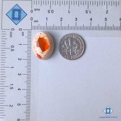 Natural Mexican Fire Opal Gemstone Oval Cabochons 19*14*8mm from Mexico available for sale