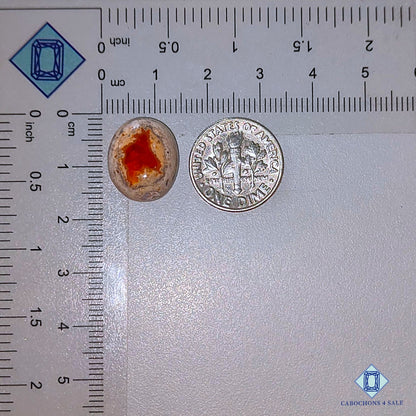 Natural Mexican Fire Opal Gemstone Oval Cabochons 15*13*6mm from Mexico available for sale
