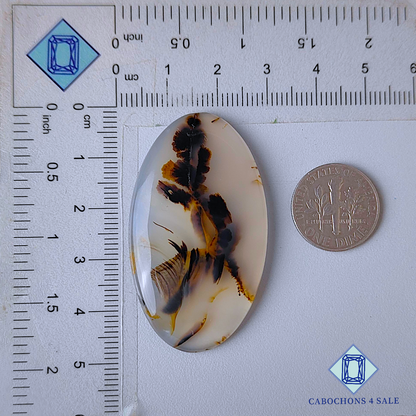 Montana Agate Oval Cabochons