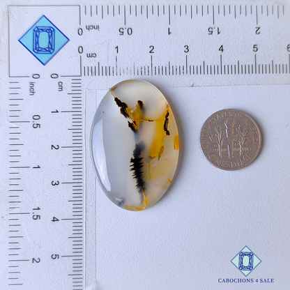Montana Agate Oval Cabochons