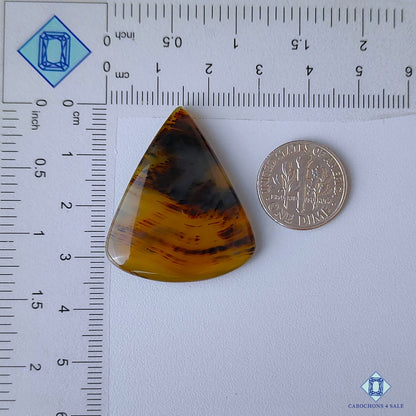 Montana Agate