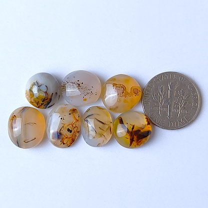 Montana Agate