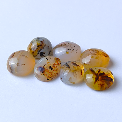 Montana Agate