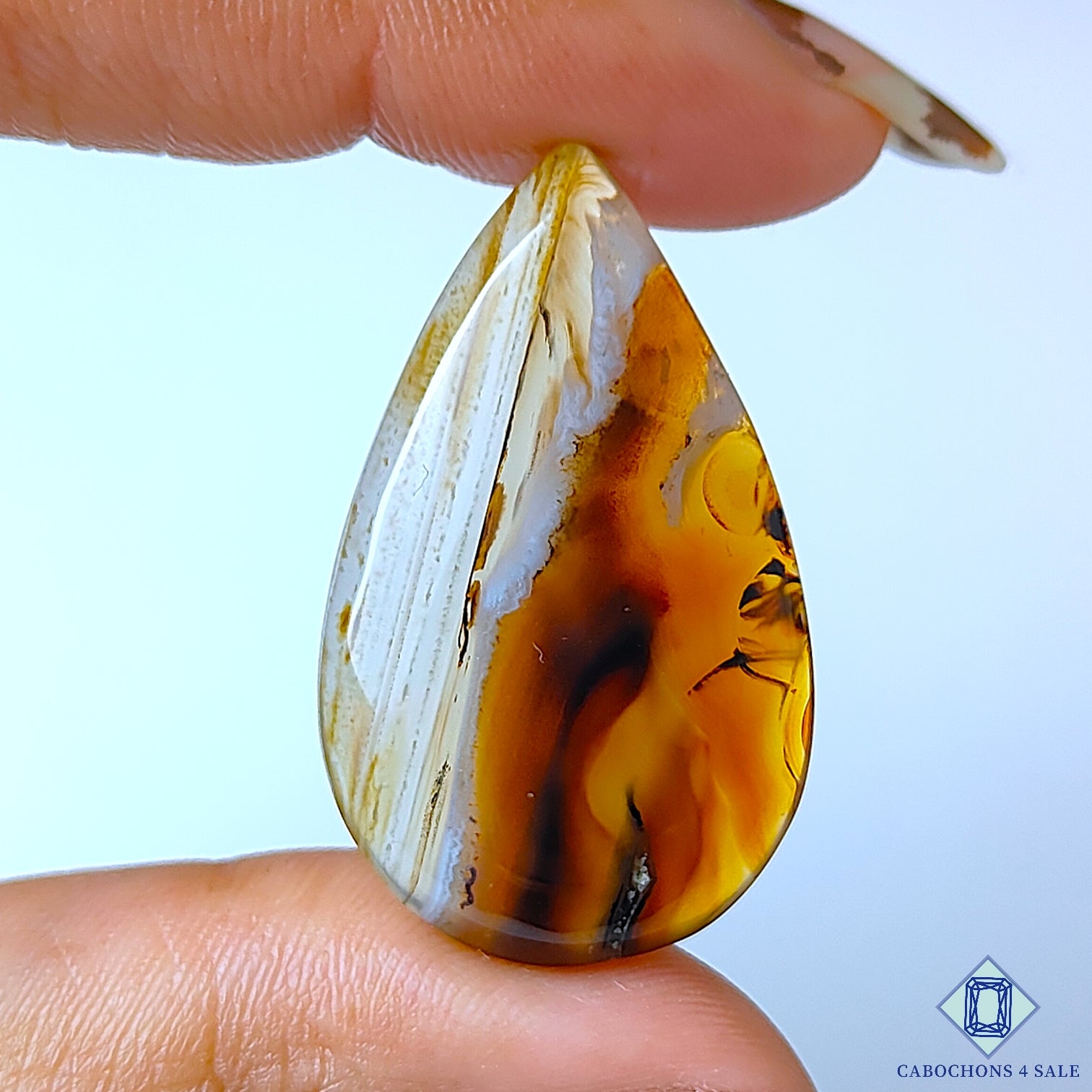 Montana Agate