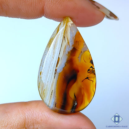 Montana Agate