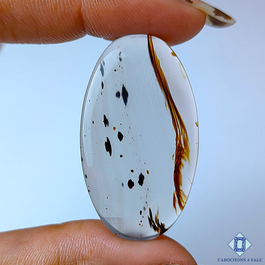 Montana Agate