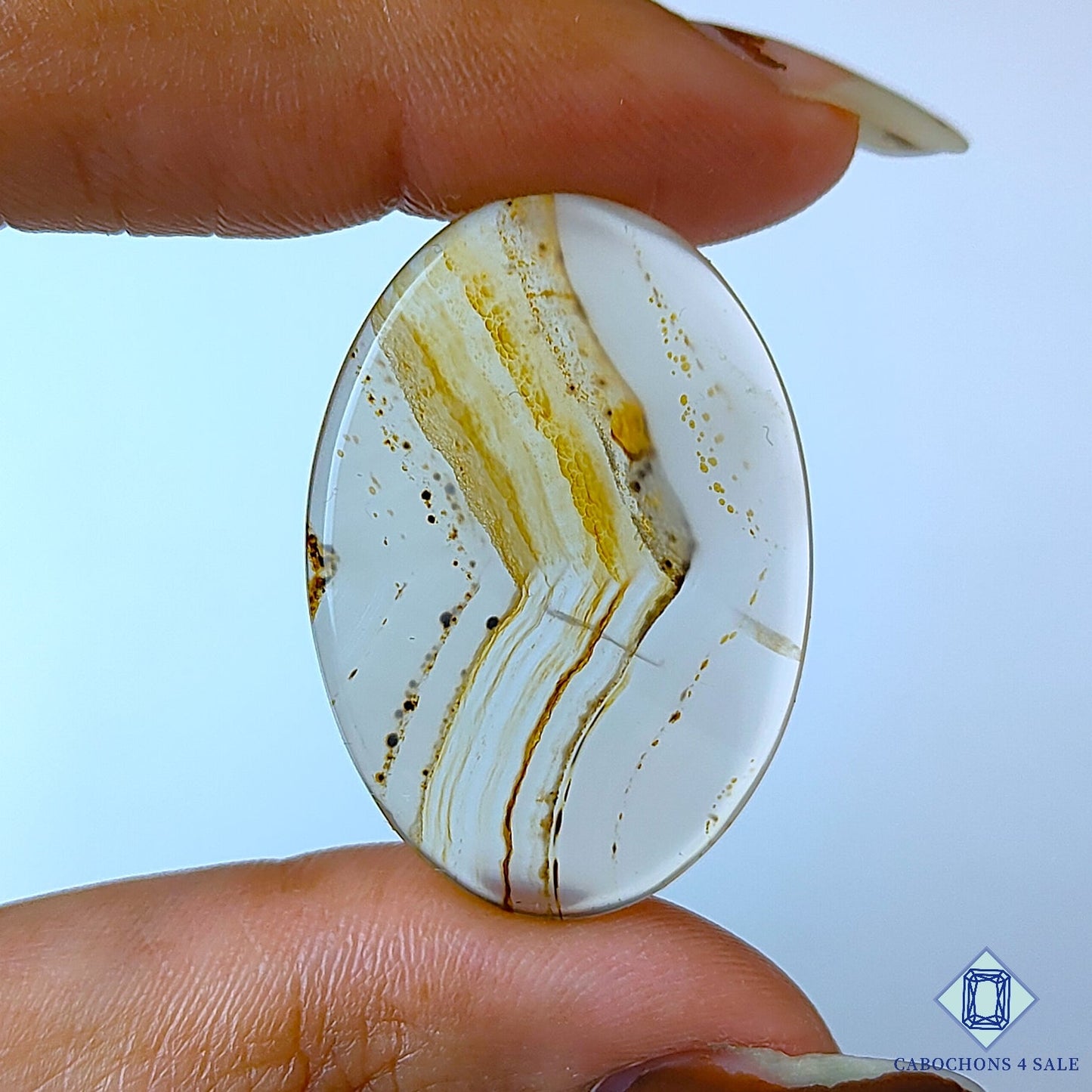 Montana Agate