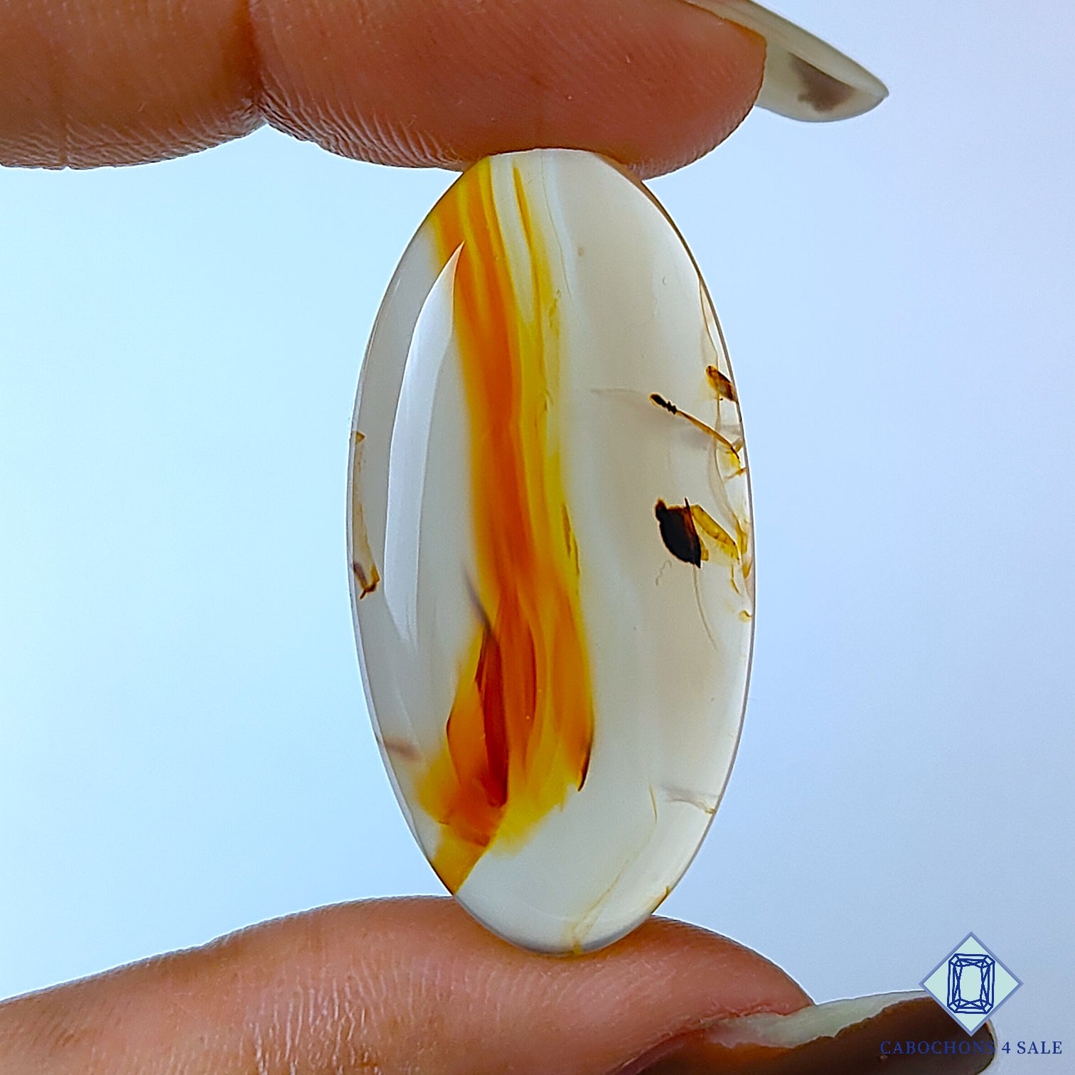Montana Agate