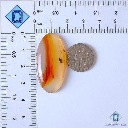 Montana Agate