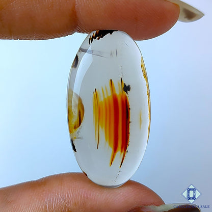 Montana Agate