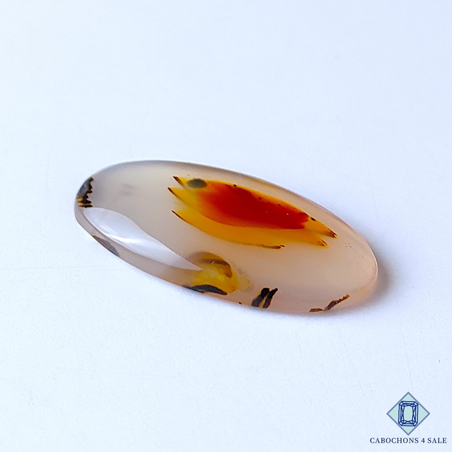 Montana Agate