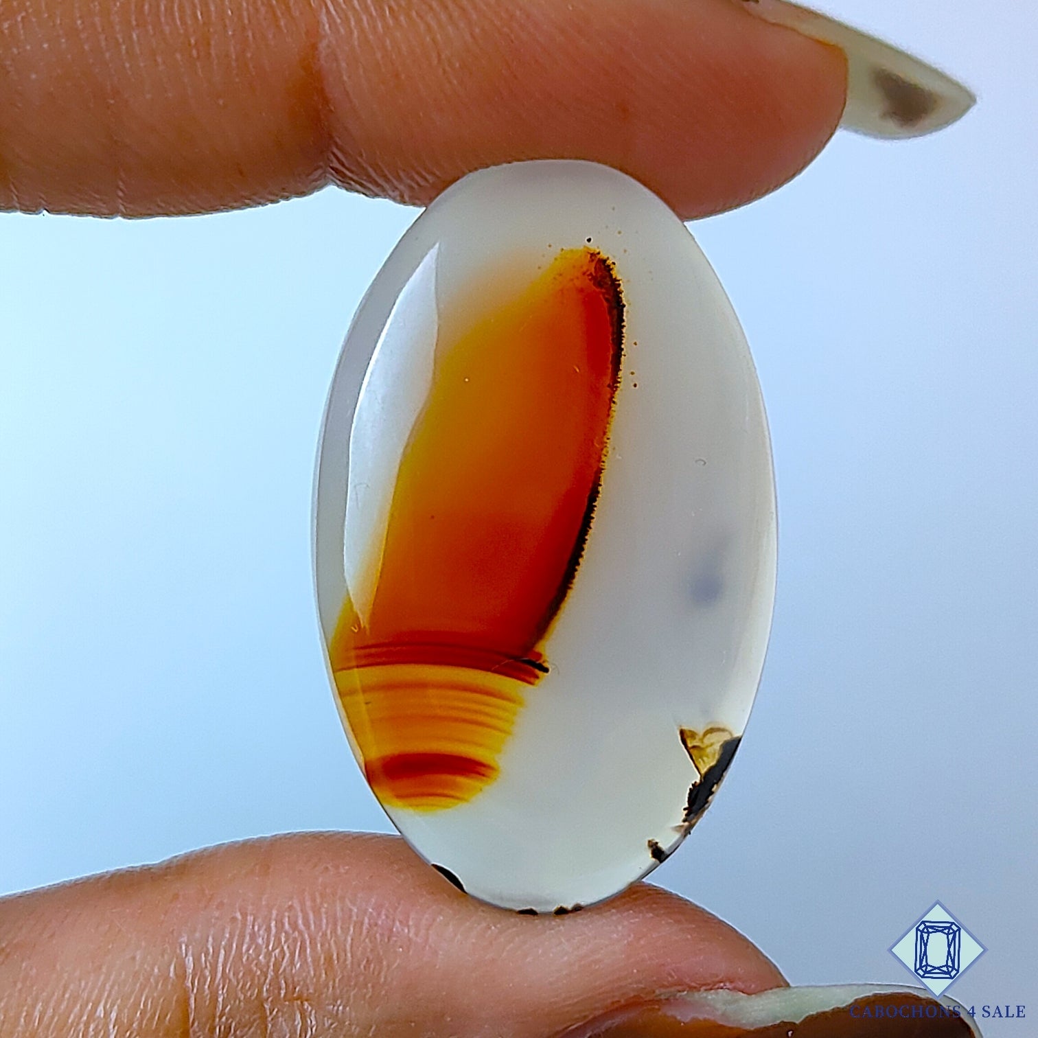 Montana Agate