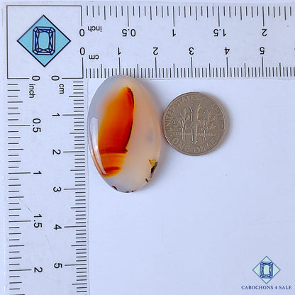 Montana Agate