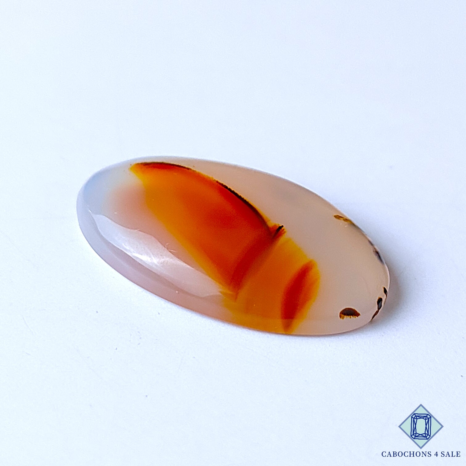 Montana Agate
