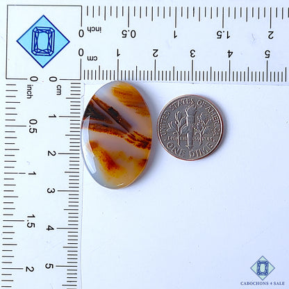 Montana Agate