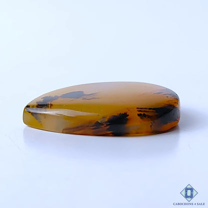 Montana Agate
