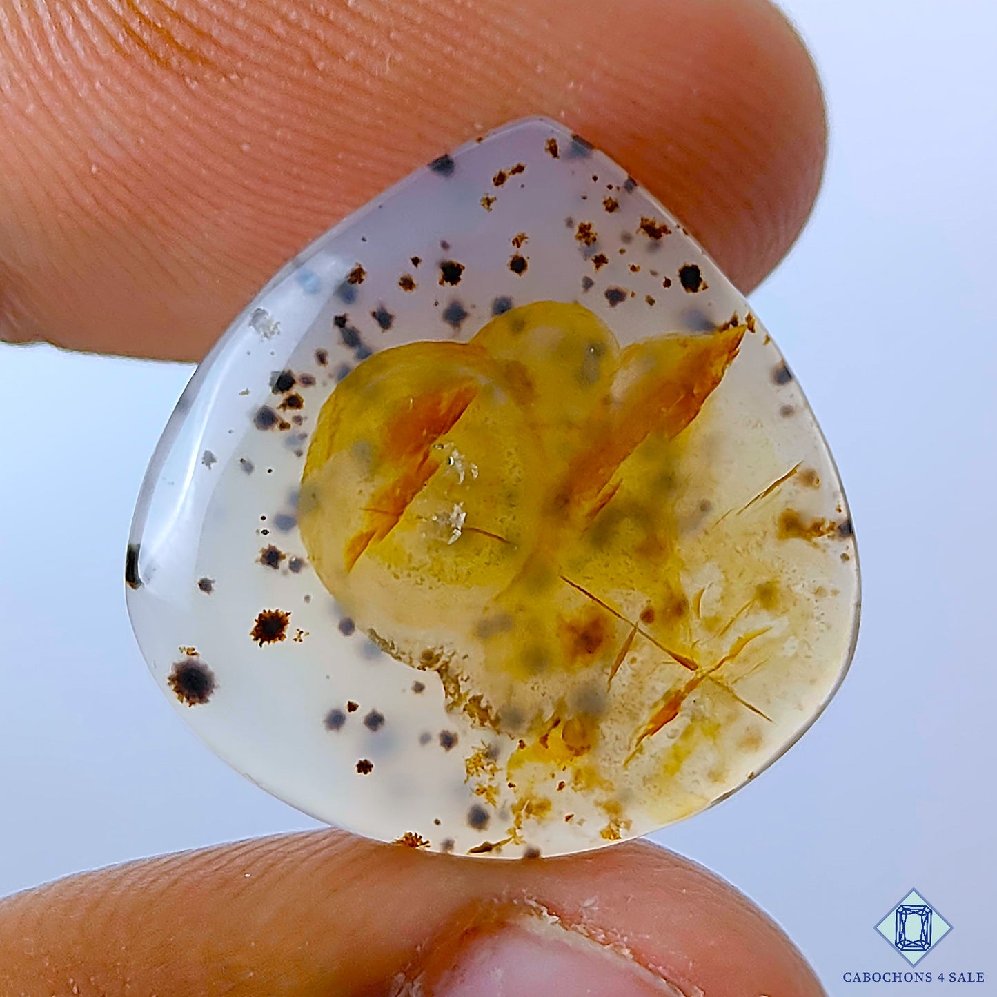 Montana Agate