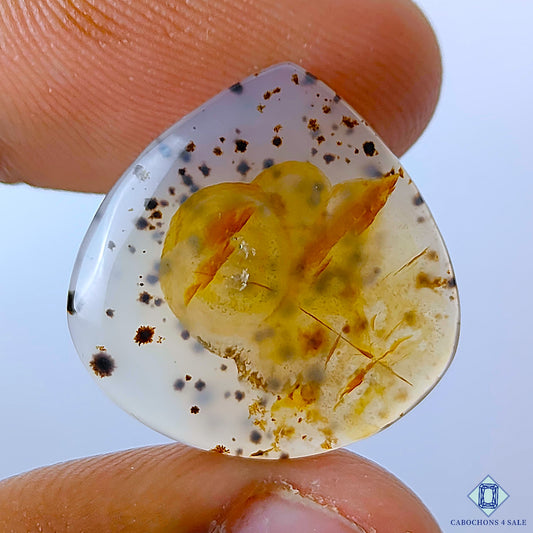 Montana Agate