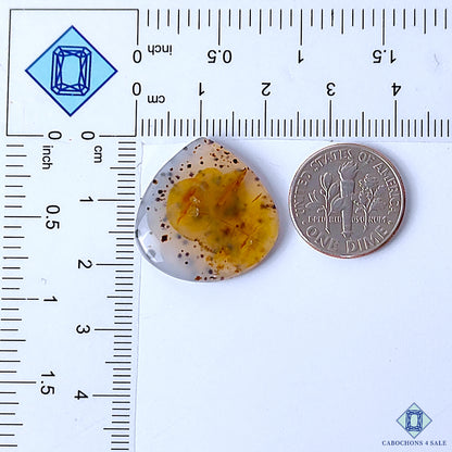 Montana Agate