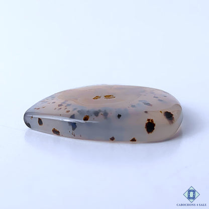 Montana Agate