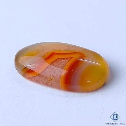 Montana Agate