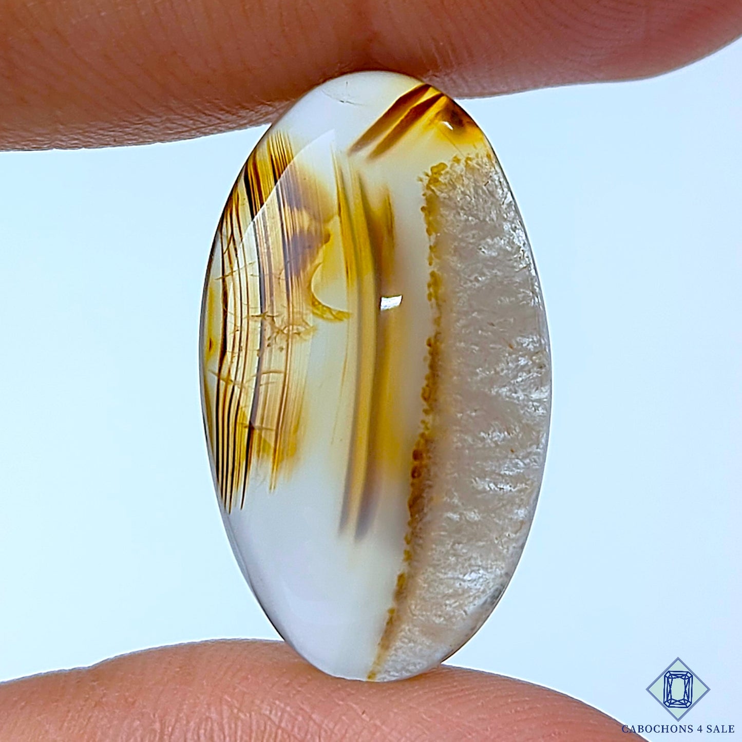 Montana Agate