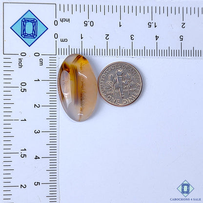 Montana Agate