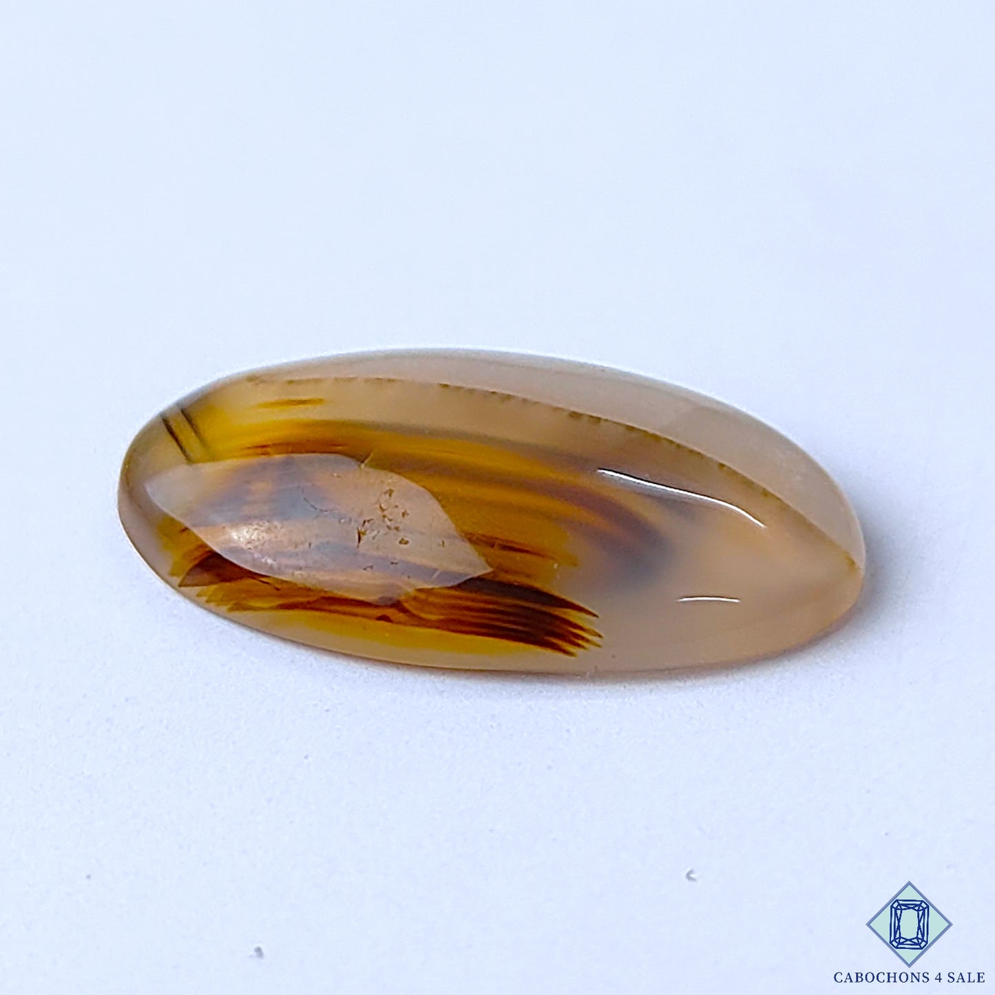 Montana Agate
