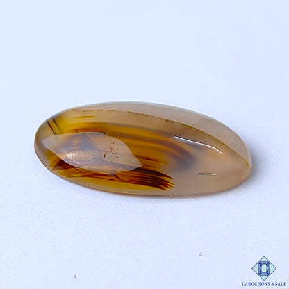 Montana Agate
