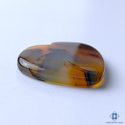 Montana Agate